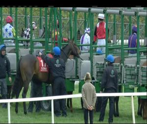 Video preview image for Cork 15:55 - Buy Online At corkracecourse.ie Handicap (45-75)