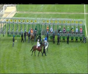 Video preview image for Cork 16:25 - Cork Handicap