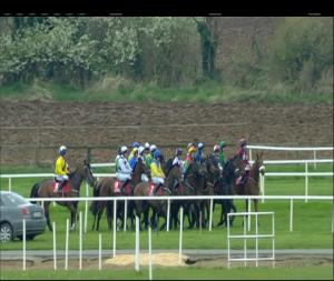 Video preview image for Cork 16:45 - Dermot Casey Tree Care Maiden Hurdle