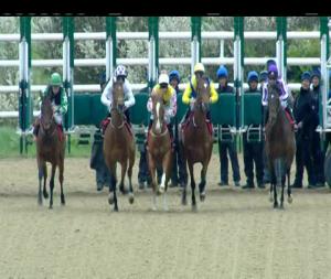 Video preview image for Dundalk 17:20 - Irish Stallion Farms European Breeders Fund Race