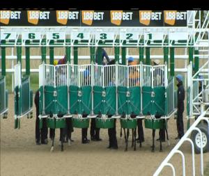 Video preview image for Dundalk 17:25 - Irish Stallion Farms E.B.F. Maiden