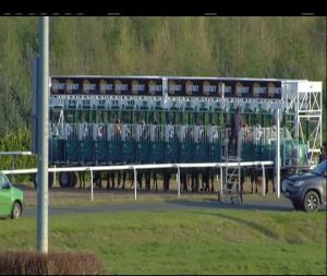 Video preview image for Dundalk 18:55 - Kingbet Handicap (45-65)