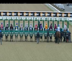 Video preview image for Dundalk 18:55 - Dundalk Stadium - Light Up Your Night Apprentice Handicap (45-65)
