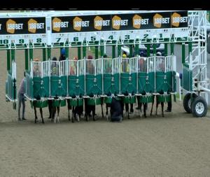 Video preview image for Dundalk 19:25 - Irish Stallion Farms European Breeders Fund Median Auction Maiden