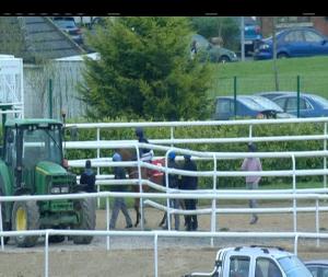 Video preview image for Dundalk 19:55 - Irish Stallion Farms European Breeders Fund Race