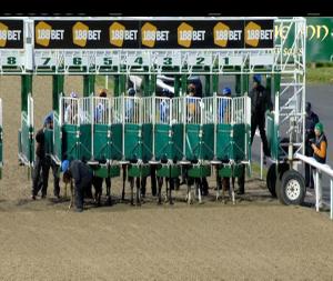 Video preview image for Dundalk 20:30 - Dundalk Stadium Handicap