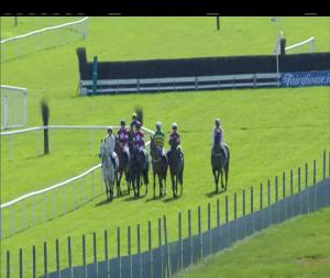 Video preview image for Fairyhouse 14:20 - Normans Grove Chase (Grade 2)