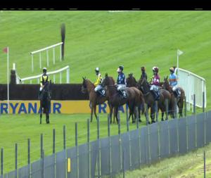 Video preview image for Fairyhouse 15:25 - Boylesports Novice Handicap Chase (Grade B)