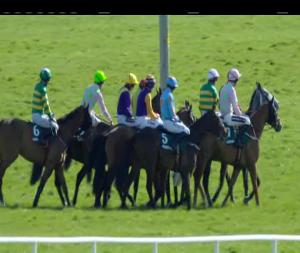 Video preview image for Fairyhouse 15:30 - Rathbarry & Glenview Studs Novice Hurdle (Grade 2)