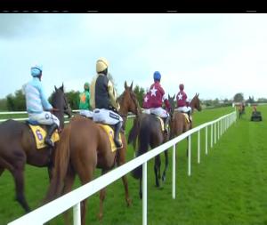 Video preview image for Fairyhouse 16:00 - Ryanair Gold Cup Novice Chase (Grade 1)