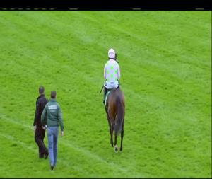 Video preview image for Fairyhouse 16:25 - Keelings Irish Strawberry Hurdle (Grade 2)