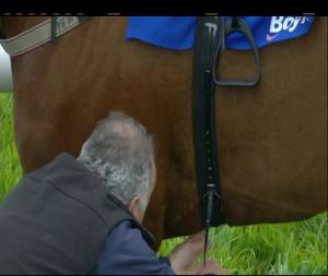 Video preview image for Fairyhouse 17:00 - Boylesports Irish Grand National Chase (Grade A)