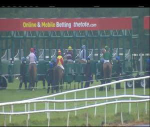 Video preview image for Gowran Park 14:35 - Irish Stallion Farms E.B.F. Fillies Handicap