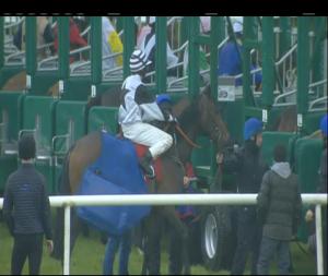 Video preview image for Gowran Park 15:05 - Irish Stallion Farms E.B.F. Fillies Maiden