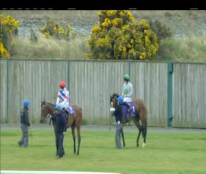 Video preview image for Leopardstown 16:30 - Bulmers Live At Leopardstown Handicap (45-75)