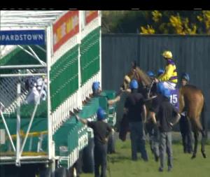 Video preview image for Leopardstown 16:35 - Bulmers Live At Leopardstown Handicap