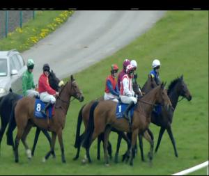 Video preview image for Limerick 15:05 - Book Online At www.limerickraces.ie Mares Handicap Hurdle
