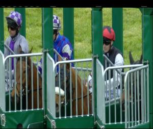 Video preview image for Limerick 16:00 - Michael English Plays Live At Limerick Racecourse July 27th Handicap (45-75)