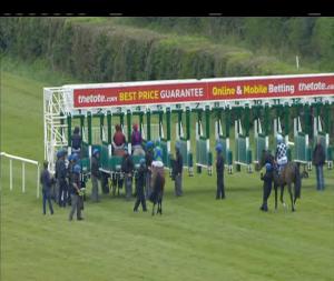 Video preview image for Naas 16:05 - Dr Vincent O'Brien Centenary Alleged Stakes (Group 3)