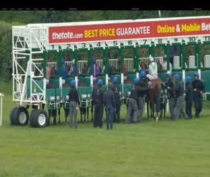 Video preview image for Naas 17:10 - Irish Stallion Farms E.B.F. Maiden