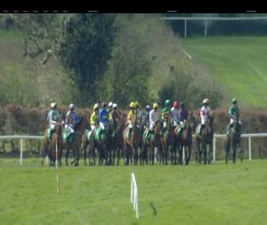 Video preview image for Navan 14:15 - Irish Stallion Farms E.B.F. Mares Maiden Hurdle
