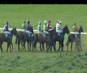 Video preview image for Navan 16:35 - Follow Navan On Twitter Beginners Chase