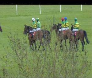 Video preview image for Punchestown 14:35 - Dooley Insurances Cross Country Chase