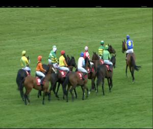 Video preview image for Punchestown 15:40 - Kildare Hunt Club Fr Sean Breen Memorial Chase For The Ladies Perpetual Cup