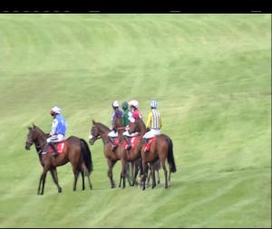 Video preview image for Punchestown 15:50 - Irish Stallion Farms E.B.F. Mares Champion Hurdle (Grade 1)