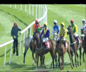 Video preview image for Punchestown 16:20 - Herald Champion Novice Hurdle (Grade 1)