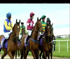 Video preview image for Punchestown 16:50 - Friends First Cross Country Chase For The La Touche Cup