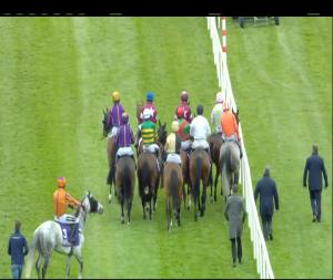 Video preview image for Punchestown 17:30 - Betdaq Punchestown Champion Hurdle (Grade 1)