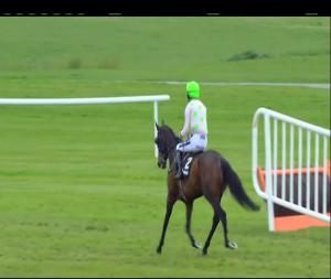 Video preview image for Punchestown 17:35 - Ballymore Handicap Hurdle (Grade B)