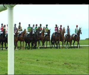 Video preview image for Punchestown 18:05 - Shamrock Enterprises Handicap Hurdle (Grade B)