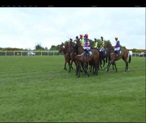 Video preview image for Punchestown 18:05 - Tattersalls Ireland Champion Novice Hurdle (Grade 1)