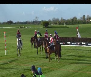 Video preview image for Punchestown 18:40 - Growise Champion Novice Chase (Grade 1)