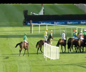 Video preview image for Punchestown 19:15 - Dooley Insurances Flat Race