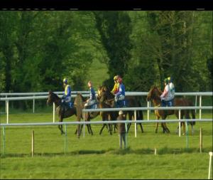 Video preview image for Tipperary 19:40 - Follow Tipperaryraces On Twitter Maiden Hurdle