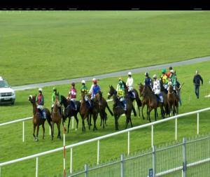 Video preview image for Ballinrobe 18:00 - Mcwilliam Park Hotel (C & G) Maiden Hurdle 