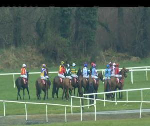 Video preview image for Cork 14:00 - Dermot Casey Tree Care Maiden Hurdle 