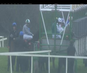 Video preview image for Cork 14:00 - Irish Stallion Farms European Breeders Fund Median Auction Maiden 