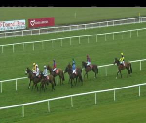 Video preview image for Cork 15:30 - Glenview & Rathbarry Studs Mares Maiden Hunters Chase
