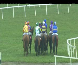 Video preview image for Cork 17:20 - Pegus Horse Feed Point-To-Point I.N.H. Flat