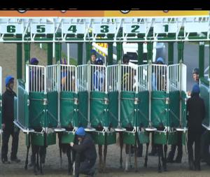 Video preview image for Dundalk 18:30 - Crowne Plaza Race & Stay Maiden