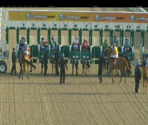 Video preview image for Dundalk 19:00 - Dundalk Stadium - Light Up Your Night Handicap