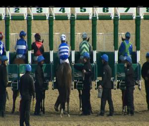 Video preview image for Dundalk 19:30 - Dundalk Stadium Maiden