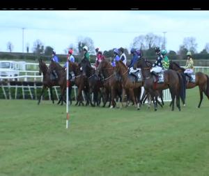 Video preview image for Fairyhouse 14:20 - Gleesons Butchers Novice Handicap Hurdle 