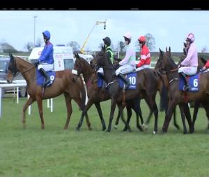 Video preview image for Fairyhouse 14:50 - Irish Stallion Farms European Breeders Fund Mares Novice Hurdle Championship Final (Grade 1)