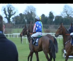 Video preview image for Fairyhouse 15:20 - Underwriting Exchange Novice Hurdle (Grade 2)