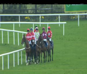 Video preview image for Fairyhouse 16:40 - Boylesports Juvenile Hurdle (Grade 2)
